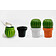 МЕЛЬНИЦА ДЛЯ СПЕЦИЙ Tasty Cactus