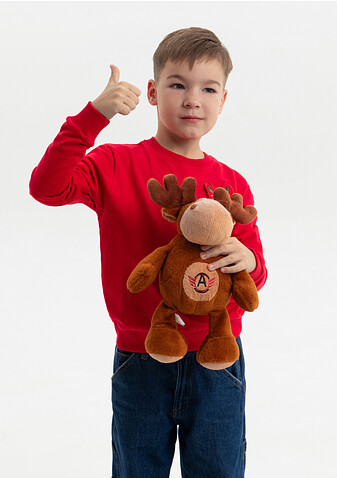 Свитшот детский STAN футер без начёса, 260, 63J, Красный,  (14)  (6 лет)
