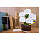 Органайзер настольный Bonsai
