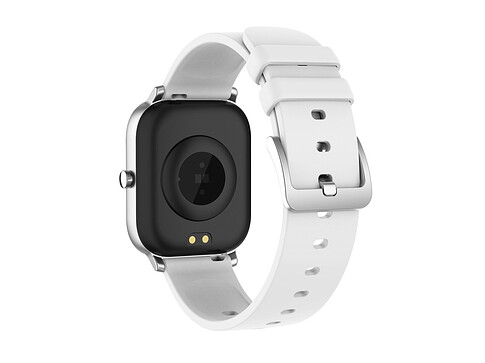 Смарт-часы Canyon SW-74 Wildberry , IP67, серебристый