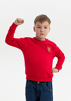 Свитшот детский STAN футер без начёса, 260, 63J, Красный,  (14)  (6 лет)