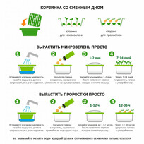 Подарочный набор для проращивания микрозелени: проращиватель, семена мицуны