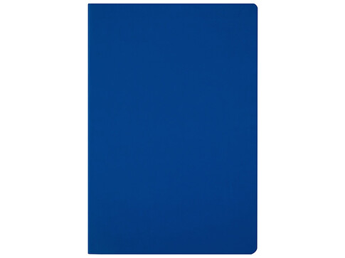 Ежедневник недатированный А5 Megapolis Color Flex New, синий