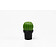 МЕЛЬНИЦА ДЛЯ СПЕЦИЙ Tasty Cactus