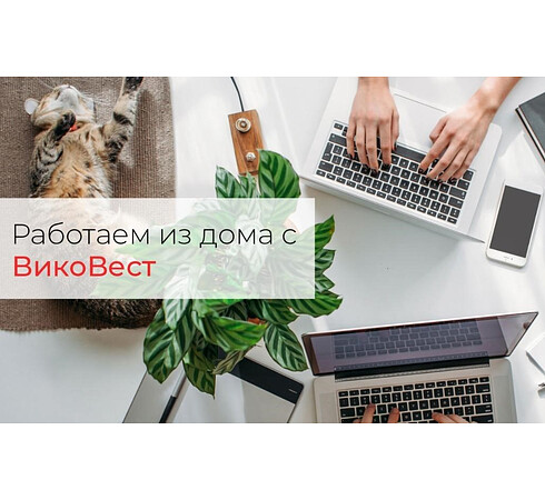 Работаем из дома с ВикоВест