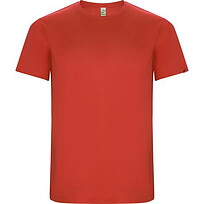Спортивная футболка IMOLA мужская, КРАСНЫЙ 3XL