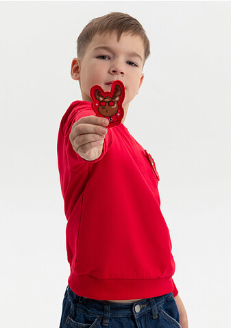 Свитшот детский STAN футер без начёса, 260, 63J, Красный,  (14)  (6 лет)