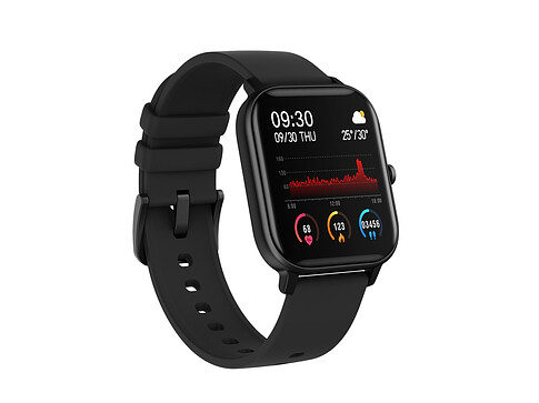 Смарт-часы Canyon SW-74 Wildberry, IP67, черный