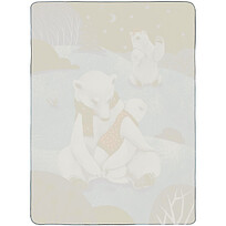 Флисовый плед Wintart Bear